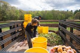 Students working with compost in 的 bed of a truck