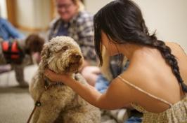 student petting a dog